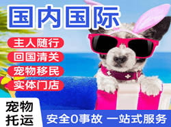 库车龟兹航空快运国际宠物托运 【国